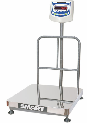 Electronic Platform Scale